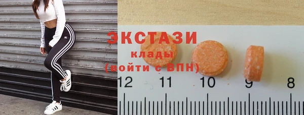 индика Абаза