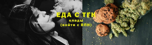 индика Абаза