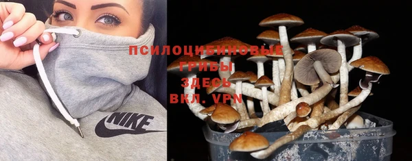 эйфоретик Алзамай