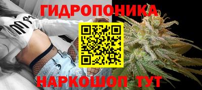 каннабис Усть-Джегута