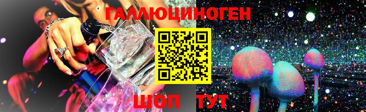 Псилоцибиновые грибы Psilocybe  Псилоцибиновые грибы мицелий  Вход с VPN  Сыктывкар 