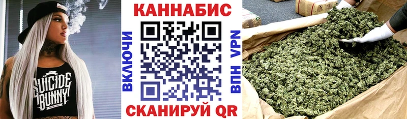 Каннабис OG Kush  Сыктывкар 